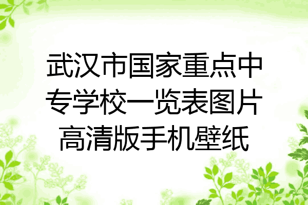 武汉市国家重点中专学校一览表图片高清版手机壁纸