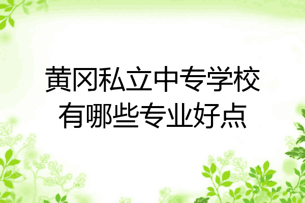 黄冈私立中专学校有哪些专业好点