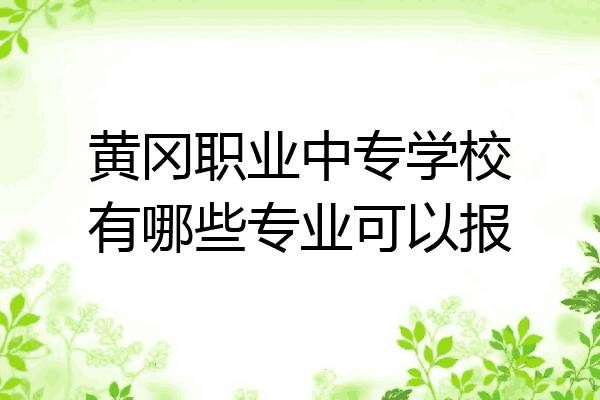 黄冈职业中专学校有哪些专业可以报