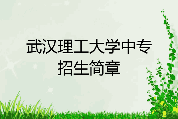 武汉理工大学中专招生简章