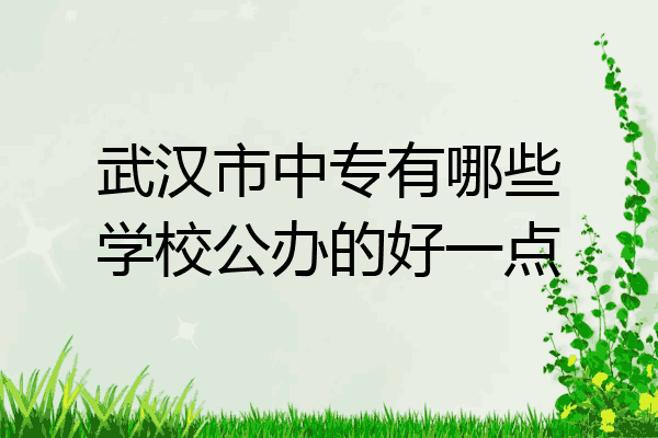 武汉市中专有哪些学校公办的好一点