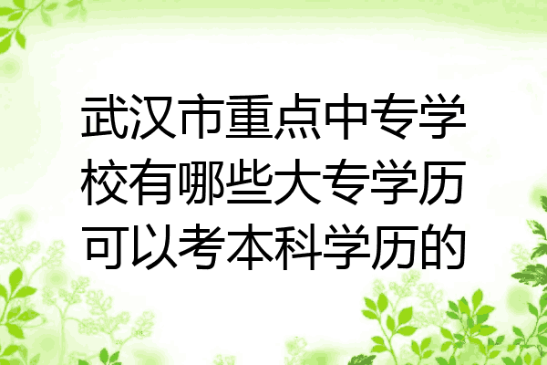 武汉市重点中专学校有哪些大专学历可以考本科学历的