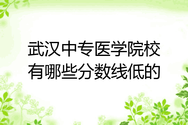 武汉中专医学院校有哪些分数线低的