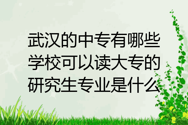 武汉的中专有哪些学校可以读大专的研究生专业是什么