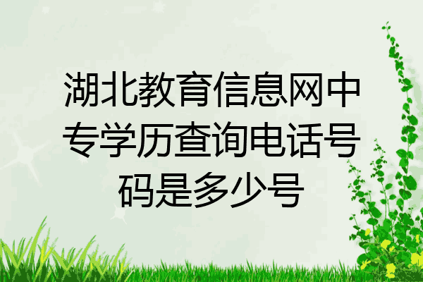 湖北教育信息网中专学历查询电话号码是多少号