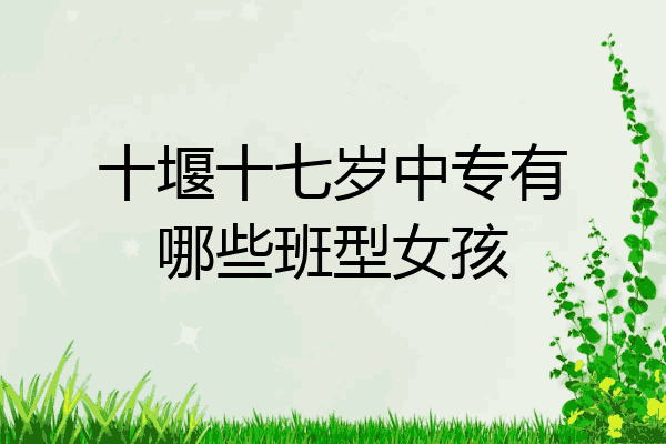 十堰十七岁中专有哪些班型女孩