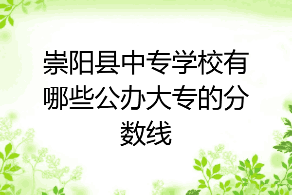 崇阳县中专学校有哪些公办大专的分数线