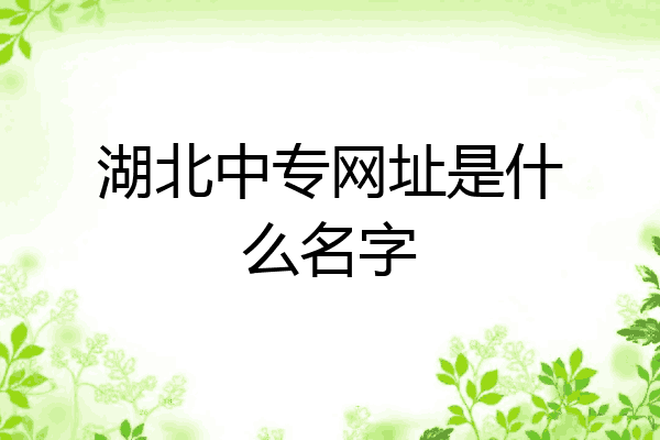 湖北中专网址是什么名字