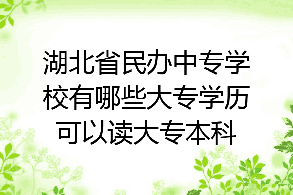 湖北省民办中专学校有哪些大专学历可以读大专本科
