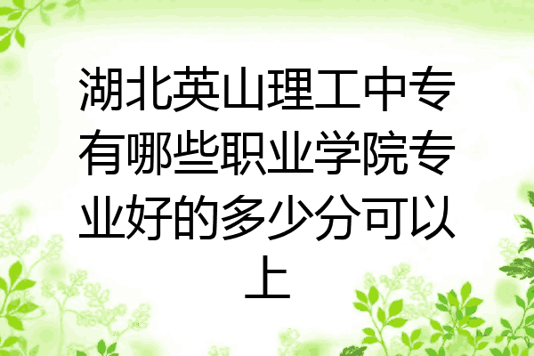 湖北英山理工中专有哪些职业学院专业好的多少分可以上