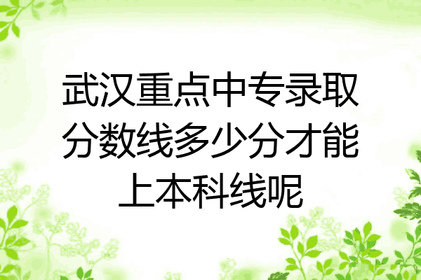 武汉重点中专录取分数线多少分才能上本科线呢