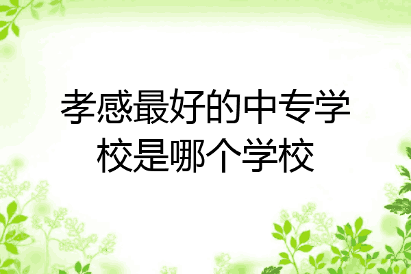 孝感最好的中专学校是哪个学校