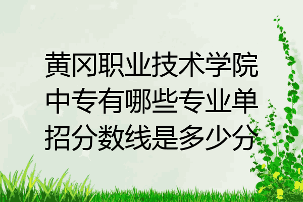 黄冈职业技术学院中专有哪些专业单招分数线是多少分