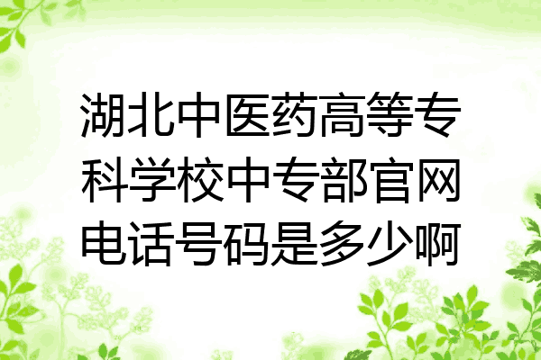 湖北中医药高等专科学校中专部官网电话号码是多少啊