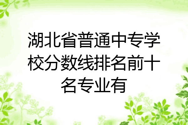 湖北省普通中专学校分数线排名前十名专业有