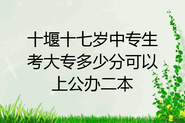 十堰十七岁中专生考大专多少分可以上公办二本