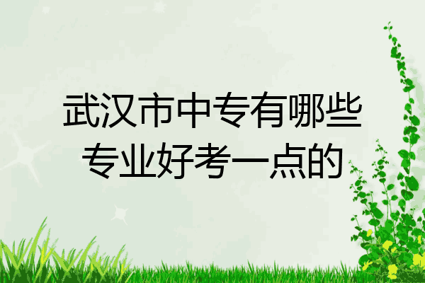 武汉市中专有哪些专业好考一点的