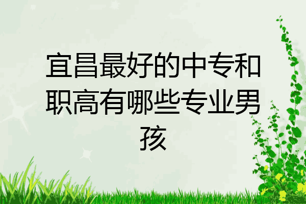 宜昌最好的中专和职高有哪些专业男孩
