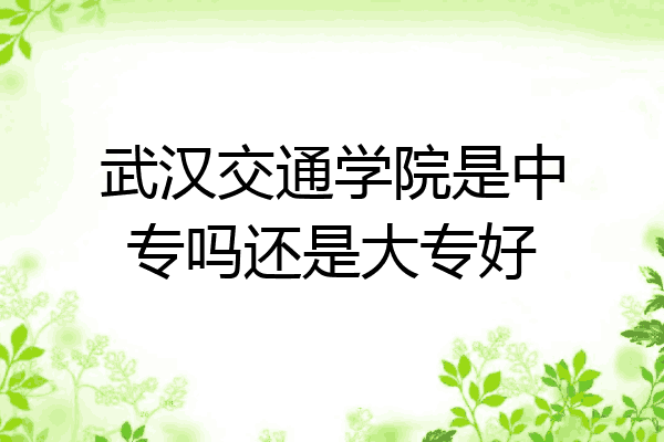 武汉交通学院是中专吗还是大专好