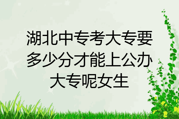 湖北中专考大专要多少分才能上公办大专呢女生