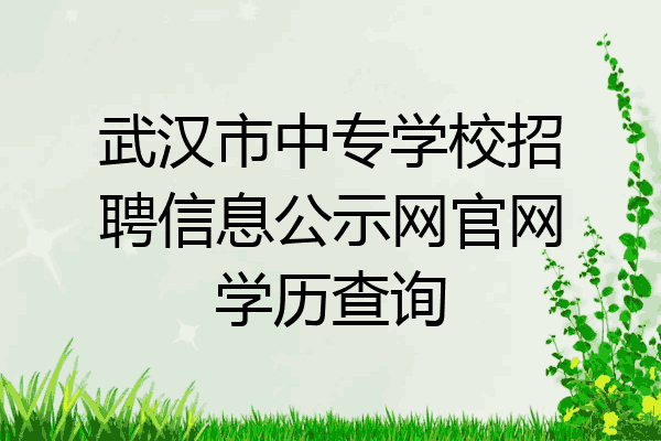 武汉市中专学校招聘信息公示网官网学历查询