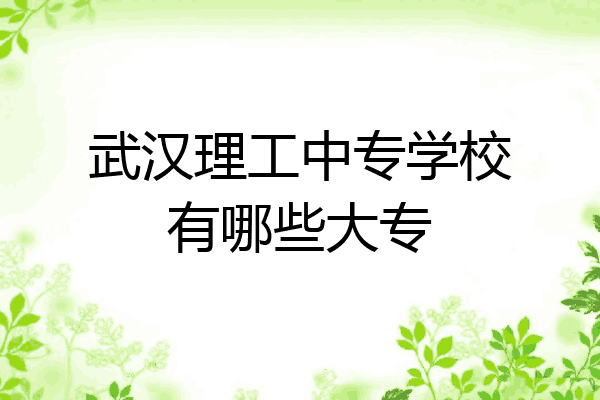 武汉理工中专学校有哪些大专
