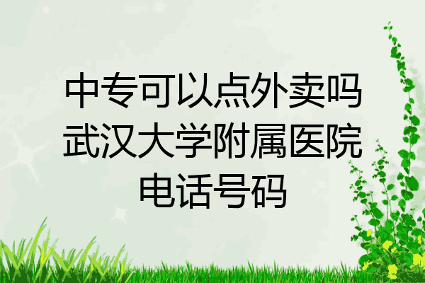 中专可以点外卖吗武汉大学附属医院电话号码