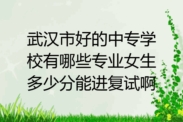 武汉市好的中专学校有哪些专业女生多少分能进复试啊
