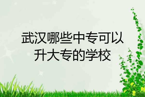 武汉哪些中专可以升大专的学校