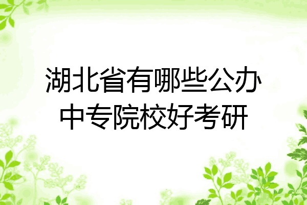湖北省有哪些公办中专院校好考研