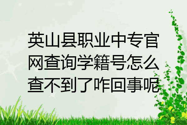 英山县职业中专官网查询学籍号怎么查不到了咋回事呢