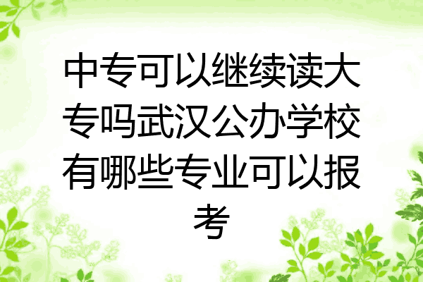 中专可以继续读大专吗武汉公办学校有哪些专业可以报考