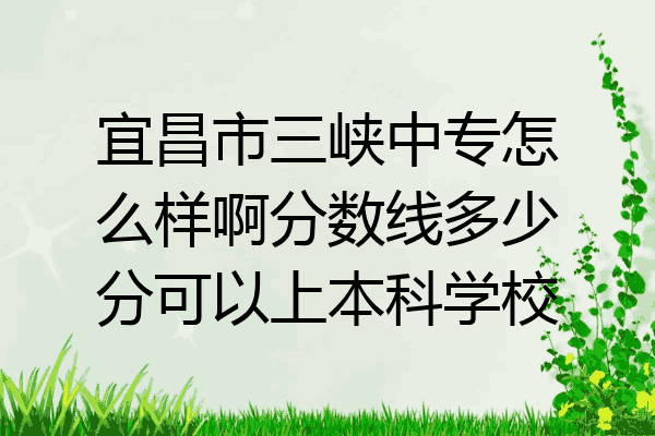 宜昌市三峡中专怎么样啊分数线多少分可以上本科学校