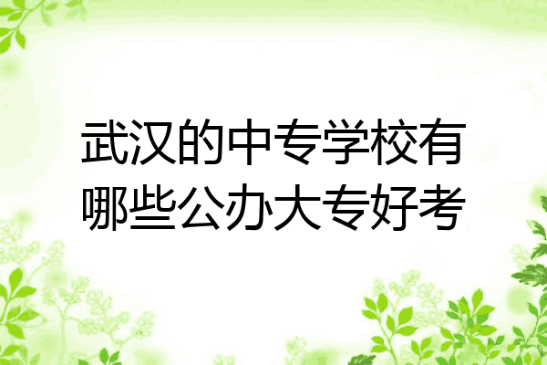 武汉的中专学校有哪些公办大专好考