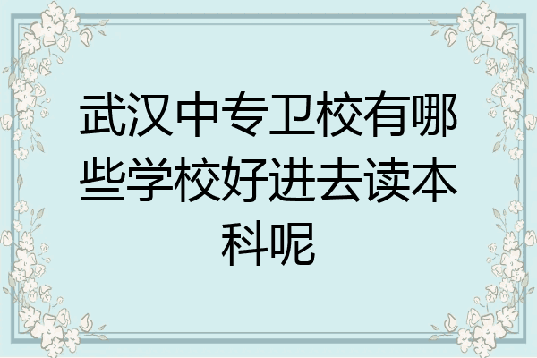 武汉中专卫校有哪些学校好进去读本科呢