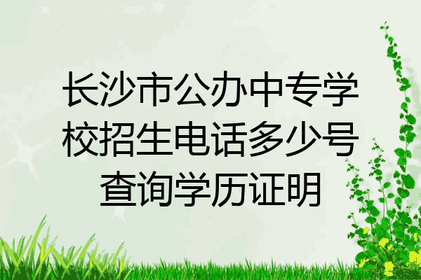 长沙市公办中专学校招生电话多少号查询学历证明