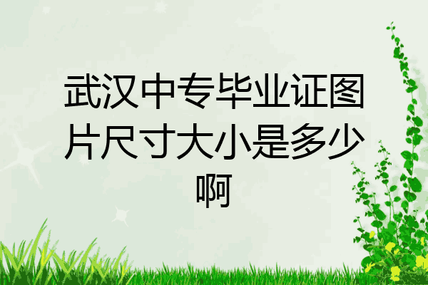 武汉中专毕业证图片尺寸大小是多少啊