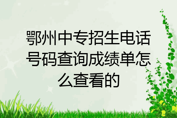 鄂州中专招生电话号码查询成绩单怎么查看的