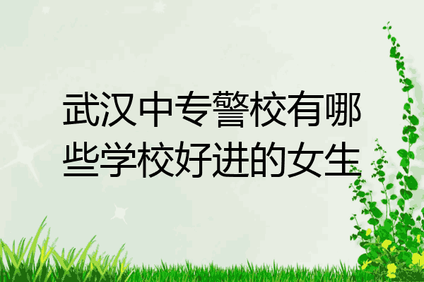 武汉中专警校有哪些学校好进的女生