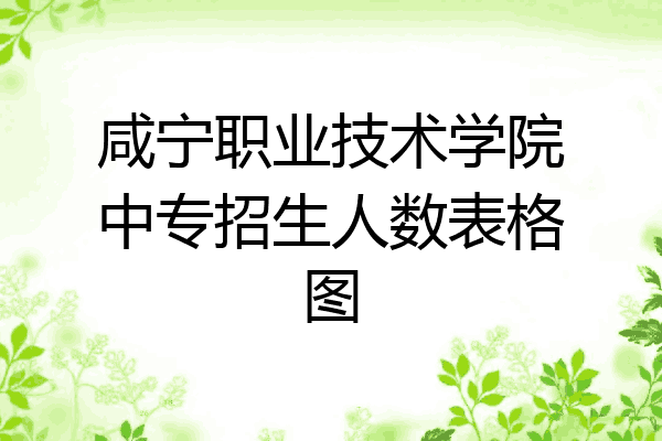 咸宁职业技术学院中专招生人数表格图