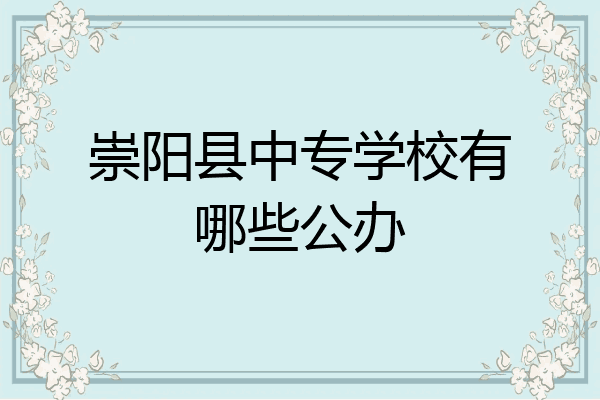 崇阳县中专学校有哪些公办
