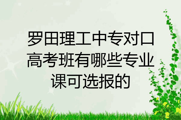 罗田理工中专对口高考班有哪些专业课可选报的