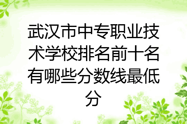 武汉市中专职业技术学校排名前十名有哪些分数线最低分