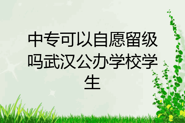 中专可以自愿留级吗武汉公办学校学生