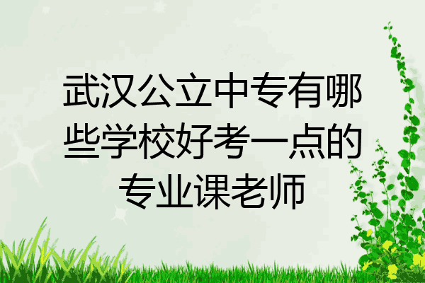 武汉公立中专有哪些学校好考一点的专业课老师