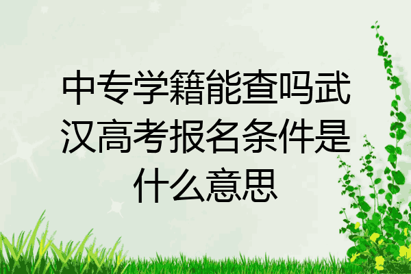 中专学籍能查吗武汉高考报名条件是什么意思