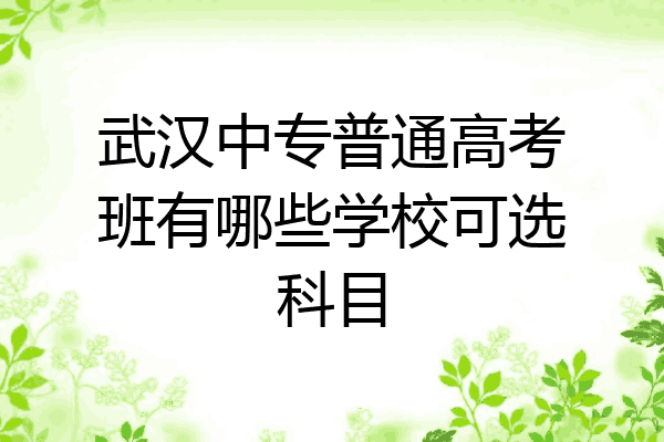 武汉中专普通高考班有哪些学校可选科目