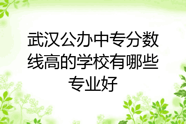 武汉公办中专分数线高的学校有哪些专业好