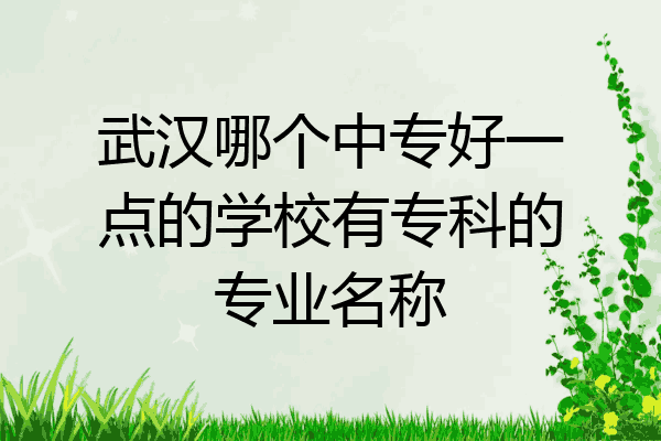 武汉哪个中专好一点的学校有专科的专业名称