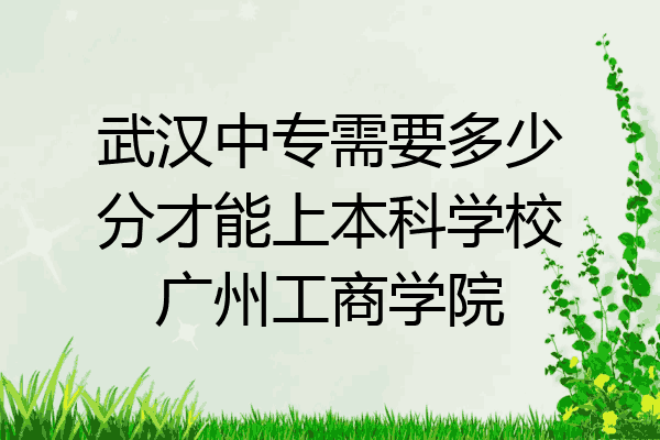 武汉中专需要多少分才能上本科学校广州工商学院